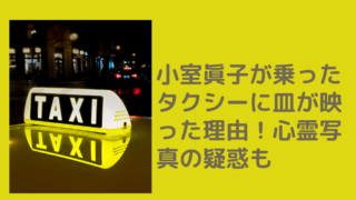 mako-taxi[1]