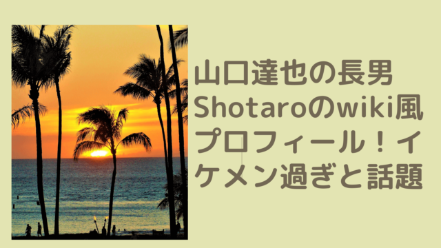 shotaro[1]